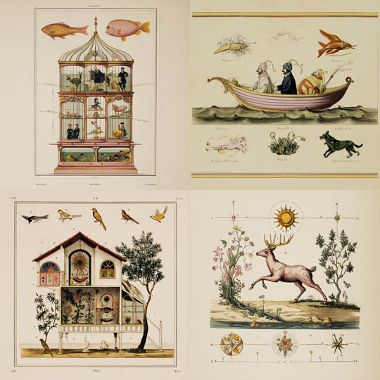 Surreal Naturalist Engravings