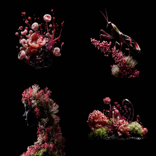 Dark Organic Sculpture