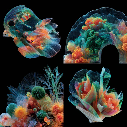 Bioluminescent Textile Forms