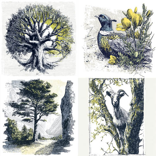 Botanical Etching Naturalism