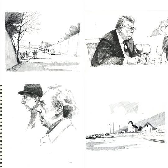Observational Sketching